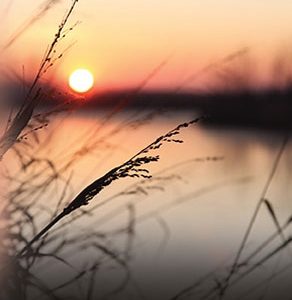 Nova knjiga: “Svjetlo na kraju tunela”